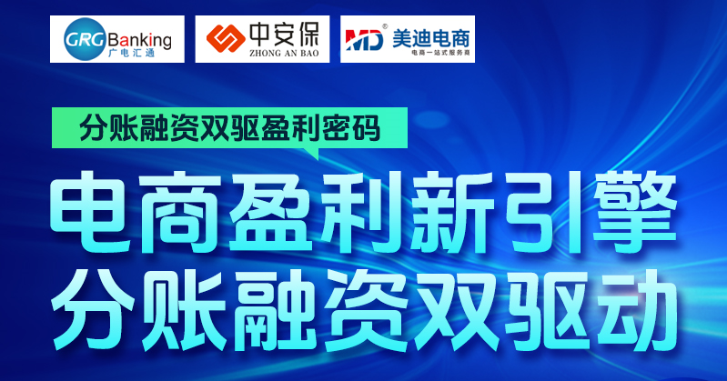 电商盈利新引擎，分账融资双驱动