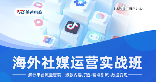 Y10-海外社媒运营实战班-26年3月5日（双师）