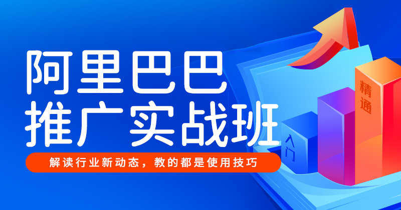 G-阿里巴巴推广实战班-26年9月17日（双师）