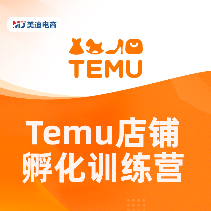 Temu孵化训练营