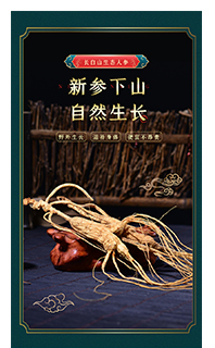 手机移动端详情页模板免费下载PSD源文件