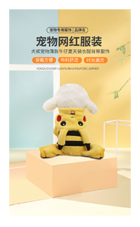 手机移动端详情页模板免费下载PSD源文件