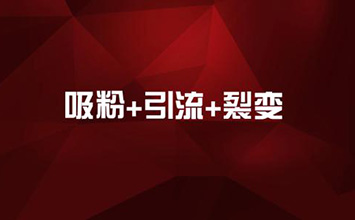 店铺流量不多？怎么样增加流量呢？怎么给店铺引流？ 